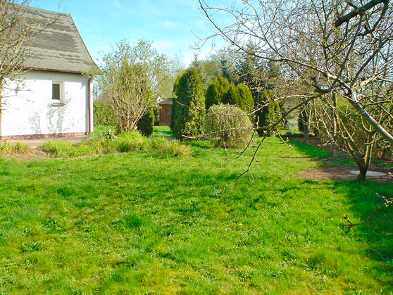 Ferienhaus in Dabitz - Kaminhaus - Bild 4