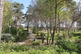 Ferienwohnung in Baabe - Direkt-Am-Strand - Blick in den Kurpark