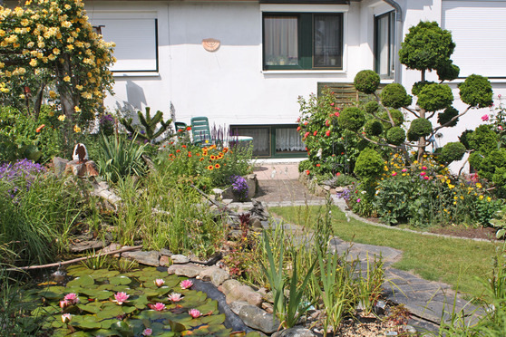 Ferienwohnung in K&uuml;hlungsborn - Neumann - Bild 9