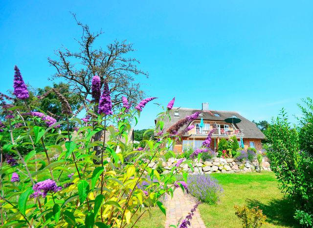 Ferienwohnung in Groß Zicker - Sonnenkamp EG - Bild 15