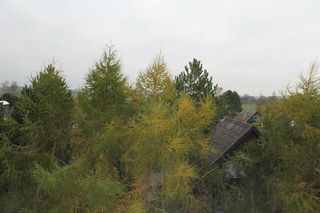 Ferienwohnung in Sch&ouml;nberg - Ferienwohnung L354 - Bild 9