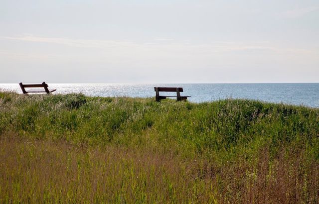 Ferienwohnung in Fehmarn OT Westermarkelsdorf - Kormoran - Bild 17