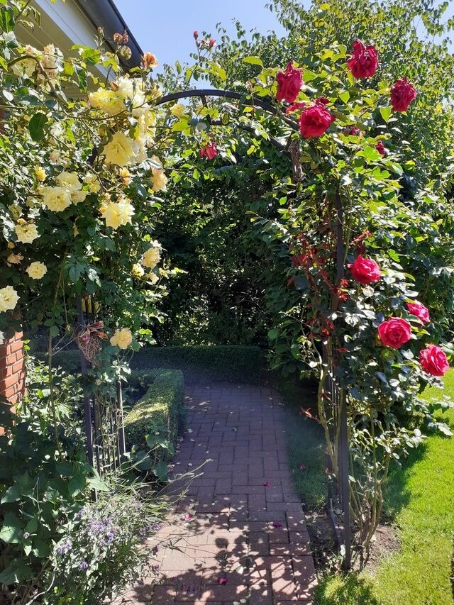 Ferienwohnung in Groß Wittensee - Martens - Bild 9