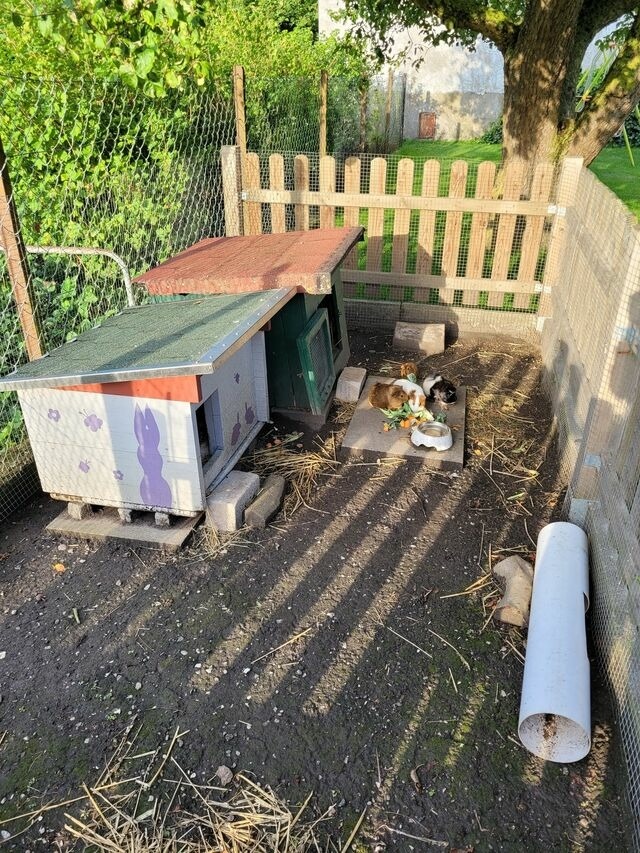 Ferienwohnung in Fehmarn OT Todendorf - Ferienhof Manowski Nr.1 - Bild 20