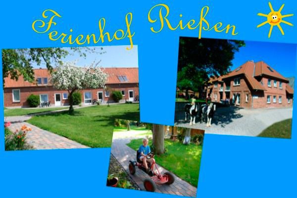 Ferienwohnung in Fehmarn OT Presen - "Ferienhof Rie&szlig;en" Bauernhaus Nr. 12 - Bild 2