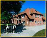 Ferienwohnung in Fehmarn OT Presen - "Ferienhof Rießen" Utspan Nr. 62 - Bild 1