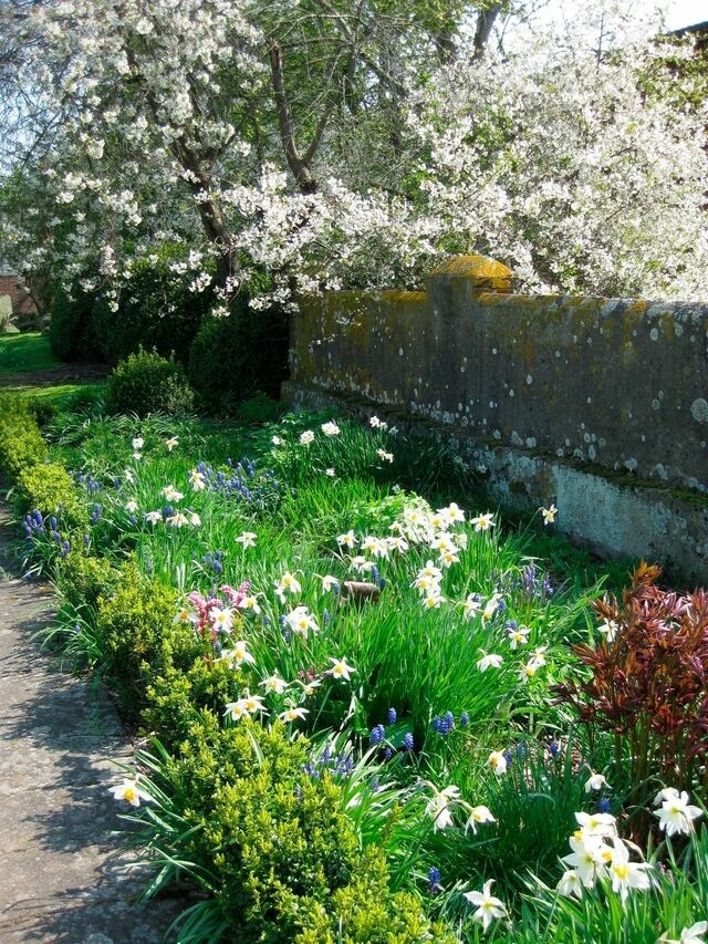 Ferienwohnung in Fehmarn OT Hinrichsdorf - Sonnenblume Nr.1 - Bild 12