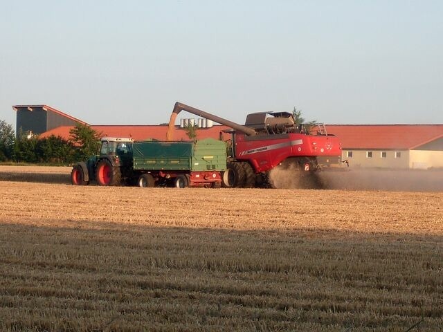 Ferienhaus in Fehmarn OT Wenkendorf - "Ferienhof Hinz" - Landhaus Utspann - Bild 25