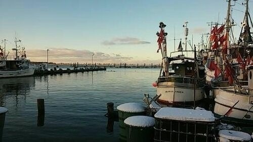 Ferienwohnung in Fehmarn OT Todendorf - FW Einfeldt - Bild 13