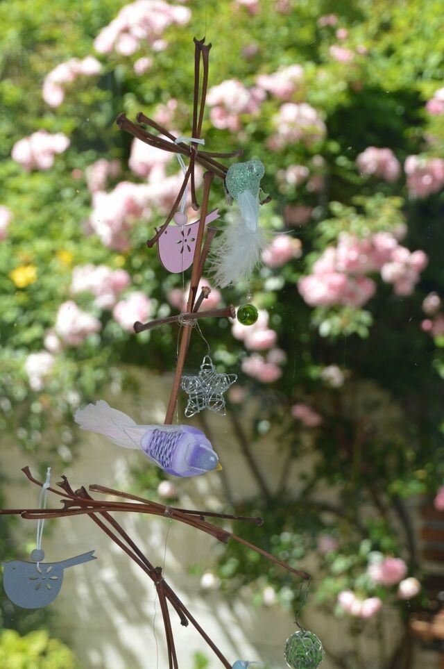 Ferienwohnung in Schönberg - Zaumseil, Axel: Fe-App. "unten" - Bild 13