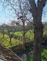 Ferienwohnung in Fehmarn OT Bisdorf - Ferienhof Bisdorf "Steilküste" - Bild 11