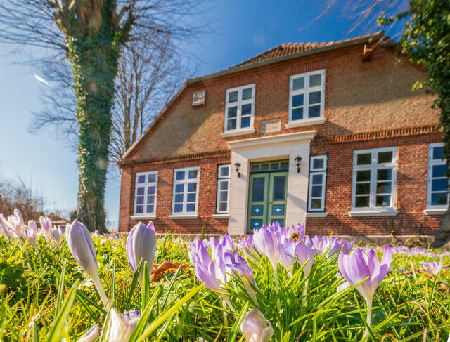 Ferienwohnung in Fehmarn OT D&auml;nschendorf - "G&auml;stehaus Summersby" - Natururlaub mit exklusivem Landhausflair - Bild 10