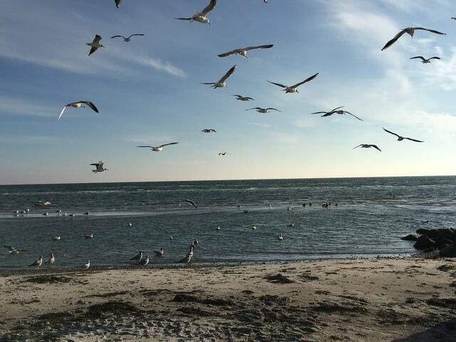 Ferienwohnung in Gr&ouml;mitz - Tannenburg 2.03 - App. Muscheloase - Bild 19