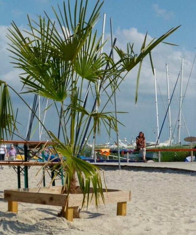 Ferienwohnung in Gr&ouml;mitz - Tannenburg 2.03 - App. Muscheloase - Bild 25