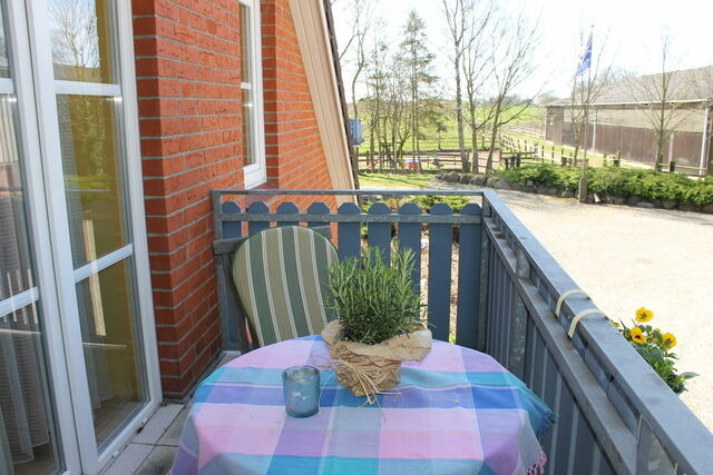 Ferienwohnung in Gr&ouml;mitz - "Pappelhof - Whg. 4" - Bild 14