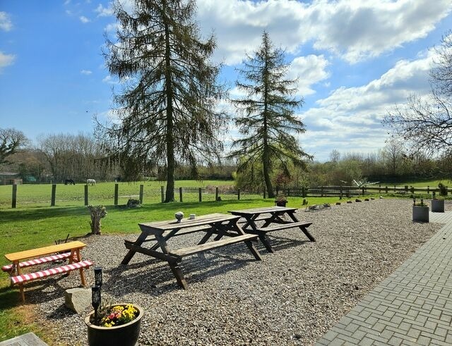 Ferienwohnung in Gr&ouml;mitz - "Pappelhof - Whg. 4" - Bild 18