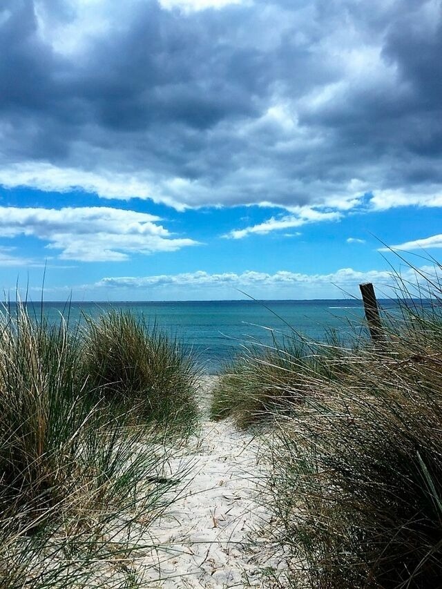 Ferienwohnung in Grömitz - Ferienhaus Marina II - Whg. 5 - Bild 15