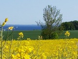 Ferienwohnung in Grömitz - Villa am Meer - App. 43 - Bild 21