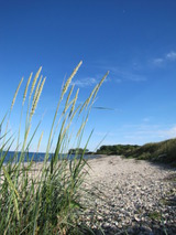 Ferienhaus in Fehmarn OT Burg - Haus Sommerbriese - Bild 24