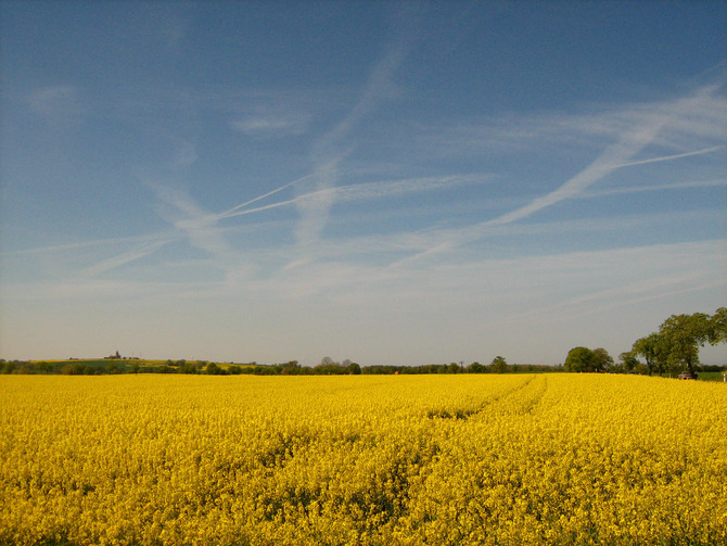 Ferienhaus in K&uuml;hlungsborn - Schlehdornhaus - Ausblick im Fr&uuml;hjahr