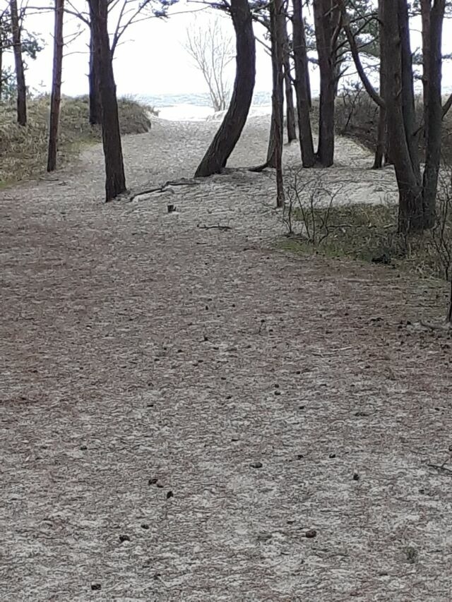 Ferienwohnung in Karlshagen - ferienwohnung k&ouml;ster - Bild 17
