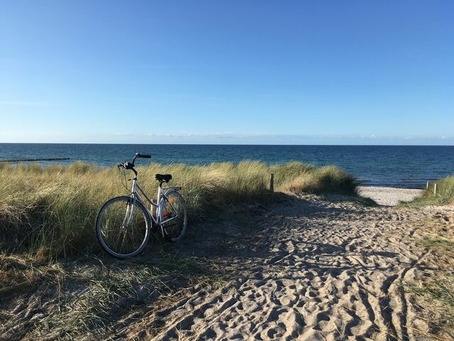 Ferienwohnung in Zingst - Strandperle 9, PP außen - Bild 17