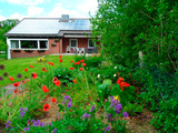 Ferienhaus in Hohwacht - Ferienhaus Tilling - Ferienhaus Tilling