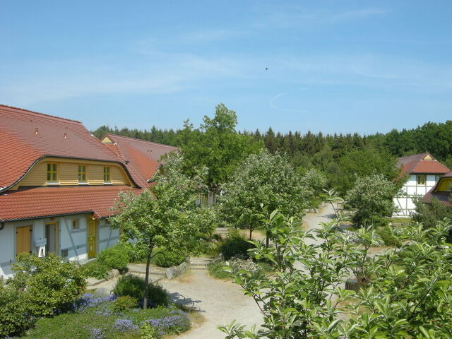 Ferienwohnung in Bakenberg - Ferienparadies Rugana C09 - Bild 7