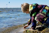 Ferienwohnung in Fehmarn - Knusthof Lafrenz - K&uuml;stenblick - Bild 12