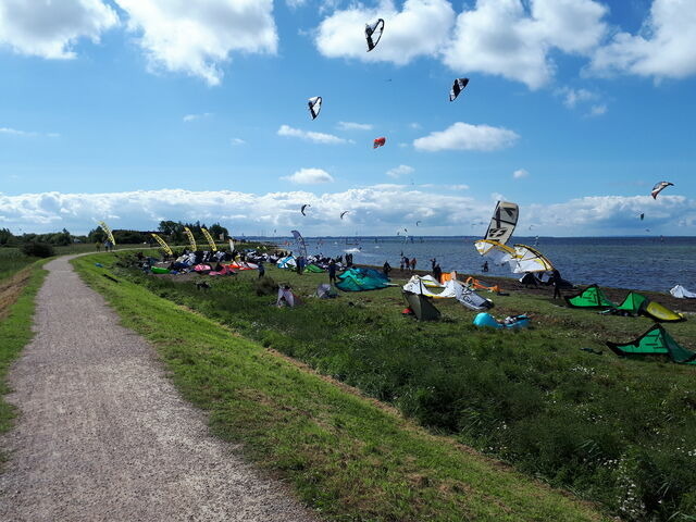 Ferienwohnung in Fehmarn - Knusthof Lafrenz - Goldblick - Bild 8
