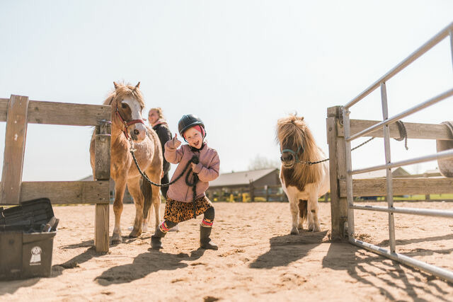 Ferienwohnung in Fehmarn - Ferienhof Büdlfarm - An der Küche - Bild 10