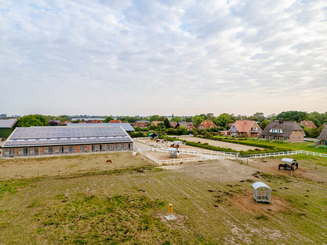 Ferienwohnung in Fehmarn OT Staberdorf - Pferdewiese - Bild 23