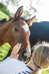 Ferienwohnung in Fehmarn OT Wenkendorf - Ferienhof Marquardt Fewo Terrassenst&uuml;bchen - Bild 17
