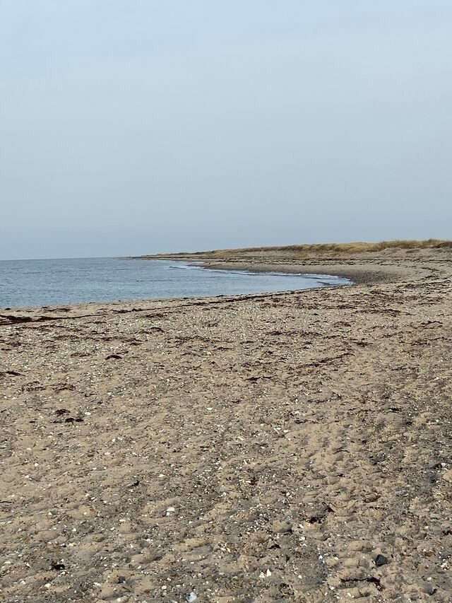 Ferienwohnung in Fehmarn - Ferienwohnung S&uuml;d - Bild 12