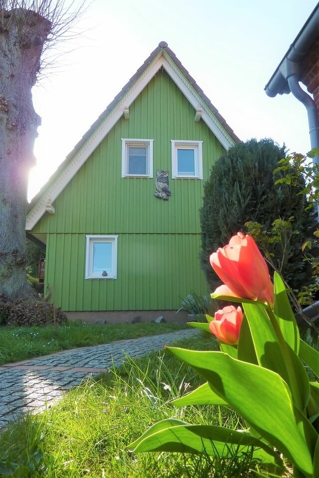 Ferienhaus in Prerow - Ferienhaus Eulennest - Ulenhoef - Bild 9