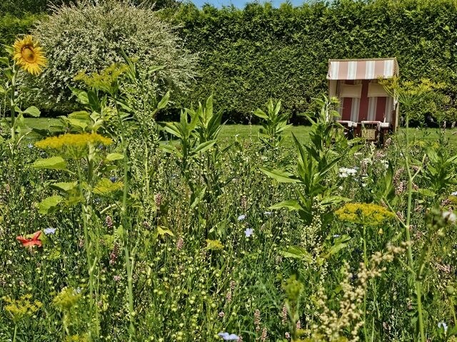 Ferienwohnung in Ribnitz-Damgarten - Ferienhof SchilfMeer - Fewo "Seepferdchen" - Bild 21