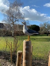 Ferienwohnung in Gr&ouml;mitz - Hamburger Str. 8 J - Wohnung "Fiete" - Bild 18