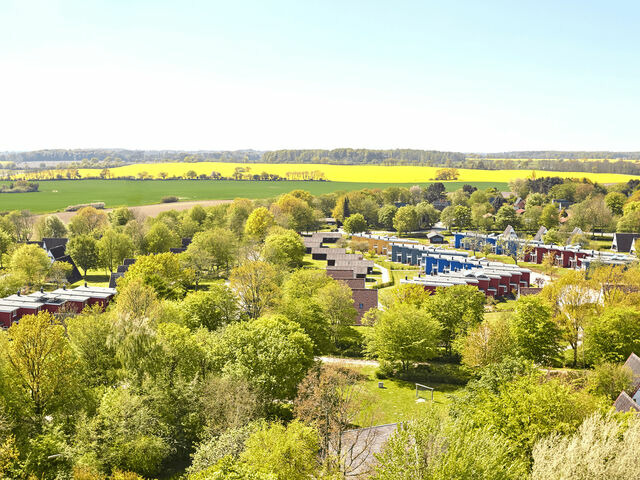Ferienhaus in Damp - Premiumhaus in Damp an der Ostsee - Bild 8