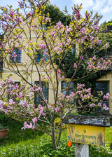 Ferienwohnung in Carinerland - Fewo Kerzenzimmer - M&auml;rchen aus Wachs und Flamme - Bild 2