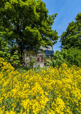 Ferienwohnung in Carinerland - Bauwagen am Rande der Welt - Bild 1