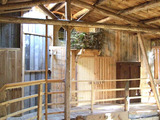 Ferienhaus in Carinerland - Scheune Landliebe in Holz und Lehm - Bild 5