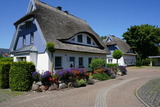 Ferienhaus in Zingst - Kranich - Bild 1