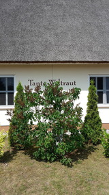 Ferienhaus in Garz (Usedom) - Häuschen "Tante Waltraut" - Bild 5
