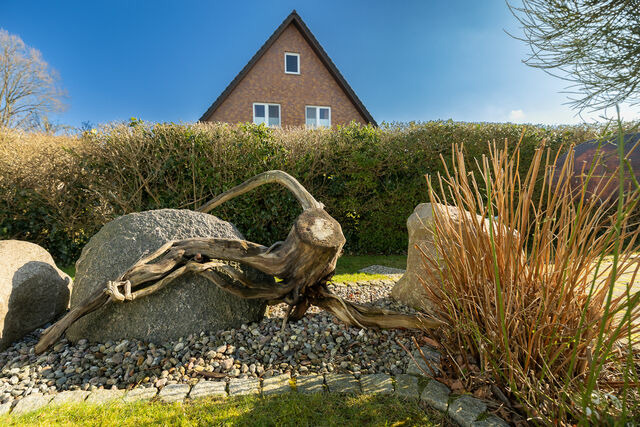 Ferienhaus in Zingst - Ferienhaus Ginster - Bild 13