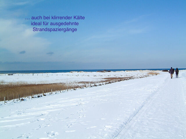 Ferienwohnung in Stein - Whg. Strandl&auml;ufer- Haus Nordlichter - Bild 25