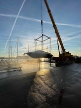 Ferienhaus in Travem&uuml;nde - Alte Segelschule - Bild 17