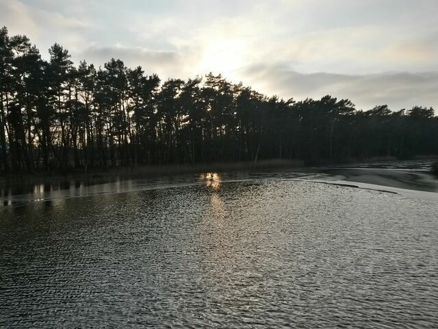 Ferienwohnung in Prerow - FeWo Seeadler - Heuser Prerow - Bild 19