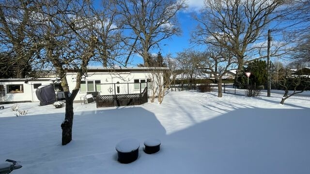 Bungalow in Rostock - Bungalow im Erlengrund - Bild 9