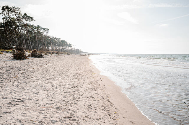 Ferienwohnung in Ahrenshoop - Strandnixe 2 - Bild 9