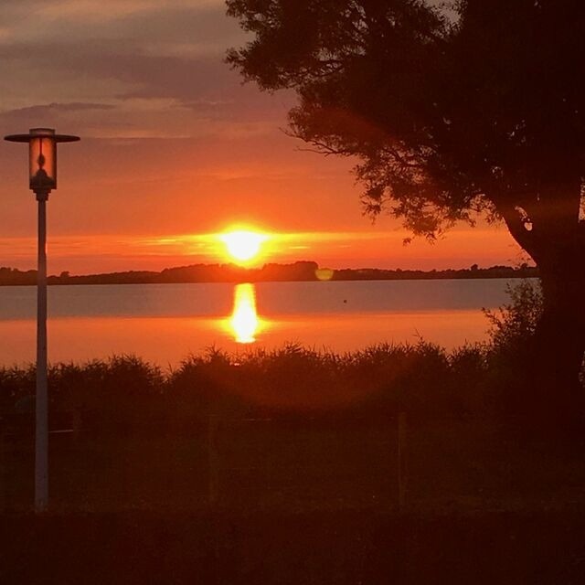 Ferienwohnung in Wiek - Fewo " Strandhaus Wiek " direkt am Wasser mit herrlichen Weitblick - Bild 11